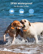 Dog Shock Collar 2 Dogs (10-120Lbs) - 4200FT Dog Training Collars with Remote Control, IPX8 Waterproof Rechargeable E-Collars for Large Medium Small Dog