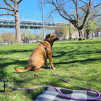 BTINESFUL 8ft 12ft 20ft 30ft 50ft 75ft Dog Tie Out Rope Leash, Long Tether Outdoor Yard Leash- Large Medium Dogs Training, Playing, Camping, Backyard Dog Lead (Pink Blue, 50 Foot)