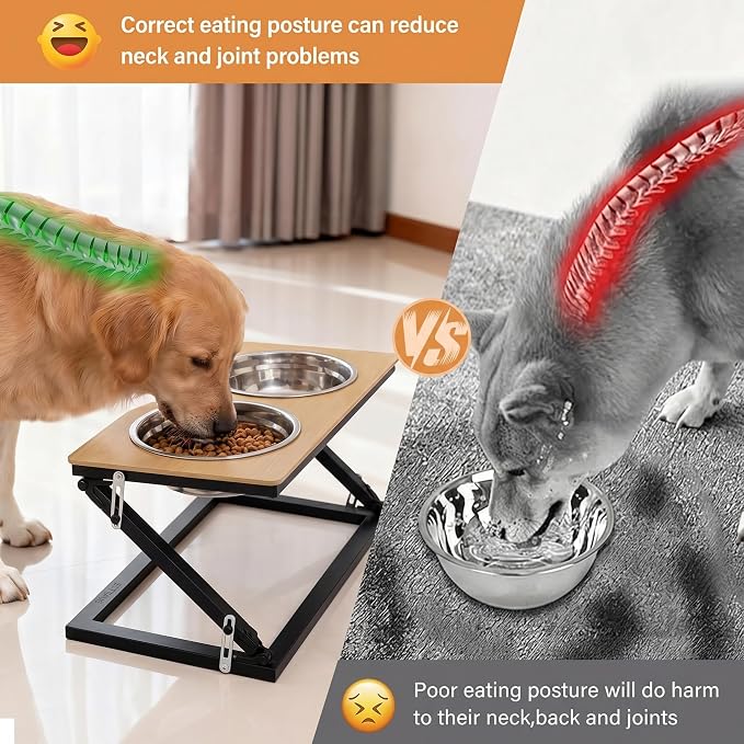 Elevated Dog Bowl, Adjustable Height and Tilt Angle Dog Bowl Stand | Precisely Adjust Height And Tilt Angle, Easy To Clean, Equipped With 2 Stainless Steel Food Bowls, Sturdy And Durable.