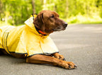 SPOT Rainy Days Slicker - Yellow Dog Rain Jacket With Hood, Reflective Strip for Safety, Leash Hole & Adjustable Velcro Belly Strap, 100% Polyester Water Resistant Pet Raincoat - X-Small, 8in Long