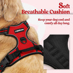 rabbitgoo Dog Harness, No Pull for Large Dogs with 2 Leash Clips, Pet Vest | No Choke with Handle, Adjustable Soft Padded, Reflective, Easy Control for Walking, Red, Large