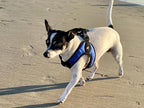 Gooby Escape Free Easy Fit Harness - Blue, Small - No Pull Step-in Patented Dog Harness with Quick Release Buckle for Small to Medium Dogs
