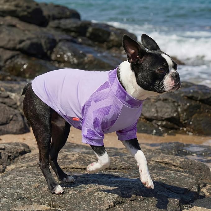 KYEESE 2Pack UV Protection Dog Shirt, UPF 50+ Cooling Dog T Shirts for Small Medium Dogs Boy Girl, Breathable Reflective Dogs Sun Shirts with Sleeves Summer Pet Clothes, Purple, XL