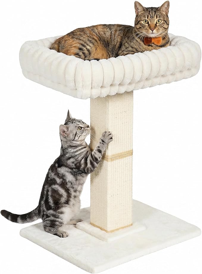 Morden Cat Scratching Post with Top Plush Bed for Indoor Cats | Removable & Washable Perch, Small Morden Cat Tree, Cat Tower with Scratch Post, Natural Sisal, White