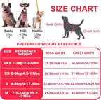 Puppytie Small Dog Harness and Leash Set, Red Camellia, S (9-17.5 lbs) | Dog Harness Small Sized Dog, Dog Leash for Small Dogs, Soft and Lightweight, Puppytie Dog Harness for Daily Walks