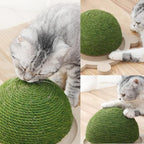 Fhiny Cats Scratching Ball, Natural Sisal Scratching Toy with Roller Track Toys and Wooden Base Kitten Turtle Shape Scratch Post for Indoor Cats Interactive Training Exercise Scratcher for Small Pets