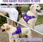 AUROTH Dog Harness and Leash Set, Soft Padded Service Dog Vest with 5.25FT Dog Leash, No Choke, Easy On Pet Vest, Adjustable Reflective No Pull Dog Harness for Large Dogs, Easy Walking and Training