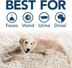 Simple Solution Pet Stain & Odor Remover, Enzyme Stain Cleaner, Gallon