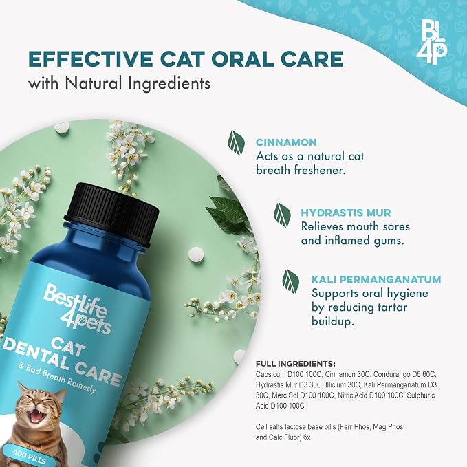 BestLife4Pets Cat Dental Care Supplement - 400 Pills | for Bad Breath, Tartar & Gum Support - Natural Cat Teeth Cleaning Oral Tablets Provide Eating & Gum Comfort, Teeth Wellness