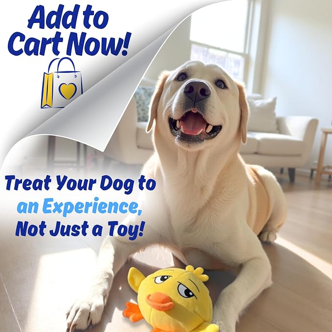 Ducky 3 in 1 Plush Duck Dog Chew Toy with Squeaky Ball Inside for Aggressive Chewers, Super Interactive, No Stuffing, Strong Tough Heavy Durable, Birthday Gift Box for Small & Large Breeds