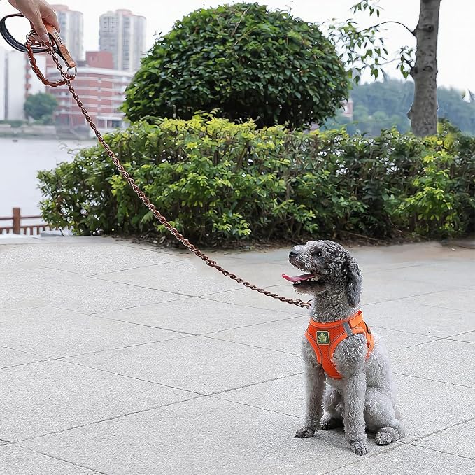S-ETOVUS-Chain Dog Leash, Bite-Proof Metal Leash, with Padded Handle | Three Sizes 7.25FT/5.2FT/4FT, Woven From Nylon Rope And Chain, Durable And Bite-Resistant, Comfortable With Padded Handles