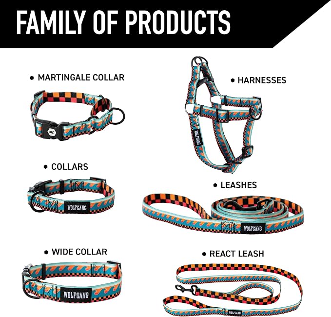 Wolfgang Heavy Duty Dog Leash, Pull-Tested for Walking & Training, BuenaOnda Print, Large