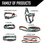 Wolfgang Heavy Duty Dog Leash, Pull-Tested for Walking & Training, BuenaOnda Print, Large