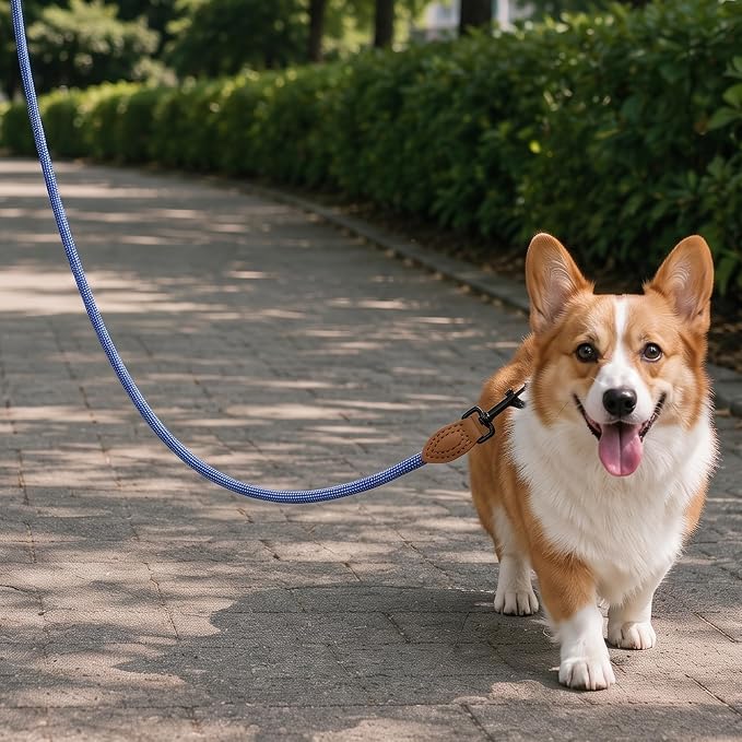Mile High Life Dog Leash with Genuine Leather Connection, 6 FT/5 FT/4 FT | Rope Leash, Heavy Duty 360° Swivel Metal Clasp, for Small Medium & Large Dogs (Blue White, 60 Inch)