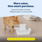 PetSafe Drinkwell Pagoda Fountain, 70 oz Ceramic, 4-Pk Filters Included | 2 Free-Falling Water Streams Encourage Hydration, Pet Water Fountain for Cats & Dogs, Includes 4 Carbon + 2 Foam Filters