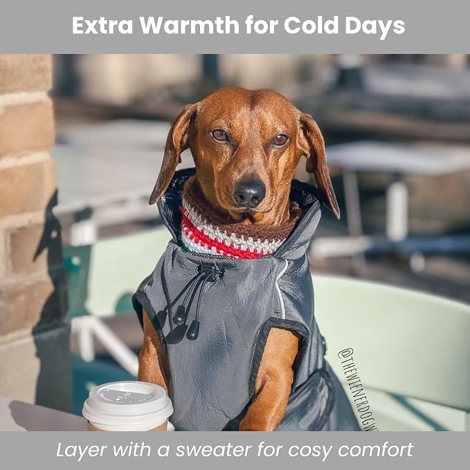 Self-Heating Waterproof Dog Coat Lightweight Thermal Winter Jacket 2XL | Reflective thermal lining retains body heat with no bulk. Waterproof, easy clip-on design for cold-weather walk and adventure
