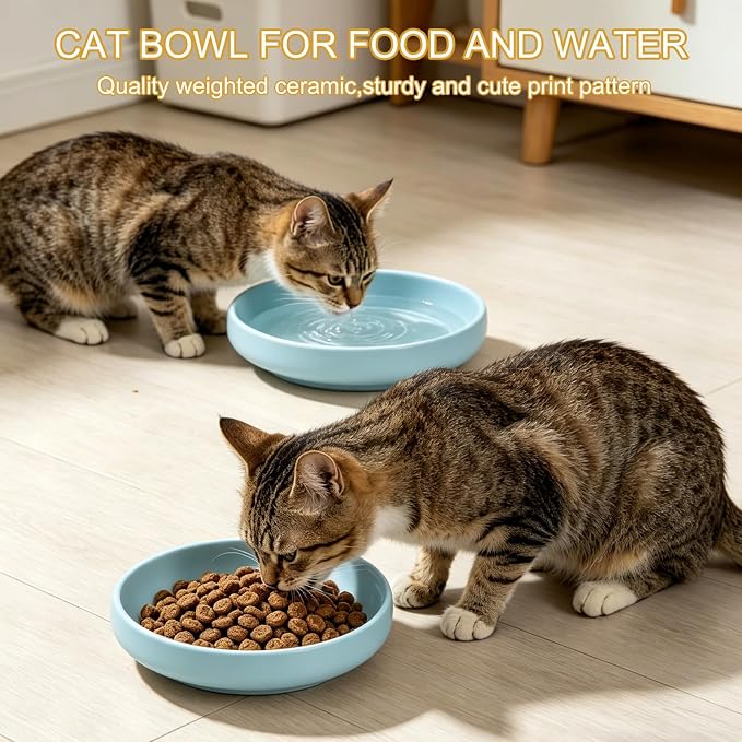 Shallow Elevated Cat Bowls with Bamboo Stand, 6.1 Inch Wide Ceramic Cat Dish Whisker Friendly, 2 Pack Pet Food and Water Plates