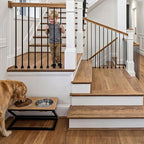 Elevated Dog Bowl, Adjustable Height and Tilt Angle Dog Bowl Stand | Precisely Adjust Height And Tilt Angle, Easy To Clean, Equipped With 2 Stainless Steel Food Bowls, Sturdy And Durable.