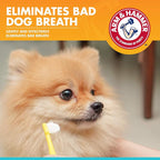 Arm & Hammer Fresh Breath Enzymatic Dog Toothpaste, 2.5 Oz, 72-Pack | Baking soda dental gel eliminates bad breath, safe for daily use in puppies and adult dogs