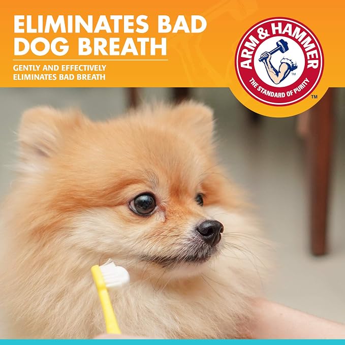 Arm & Hammer Fresh Breath Enzymatic Dog Toothpaste, 2.5 Oz, 72-Pack | Baking soda dental gel eliminates bad breath, safe for daily use in puppies and adult dogs