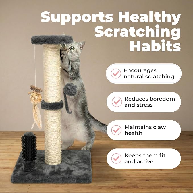 Best Pet Supplies Catify Cat Scratching Post - Gray H: 25" | 11" x 11" x 25", Interactive Cat Pole, Built-In Toys, Durable Sisal, Furniture Protector, For Indoor Kittens and Cats