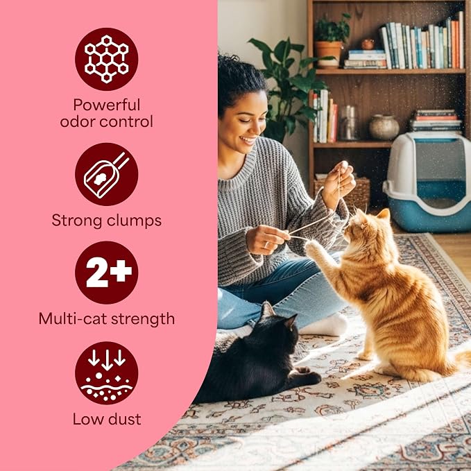 Fresh Step Advanced Odor Shield Light Weight Multi Cat Clumping Litter with Febreze Freshness, Ammonia Block Technology, 18.5 lb. Box, Pack of 2 | Odor Shield with Ammonia Block Technology, Scented with Febreze Freshness, Low Dust, Compatible with Most...