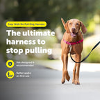 PetSafe Easy Walk No-Pull Dog Harness - Ultimate Harness to Help Stop Pulling - Pull-Free Walks - Take Control & Teach Better Leash Manners - Patented Martingale Loop Design - Deep Purple,Medium/Large