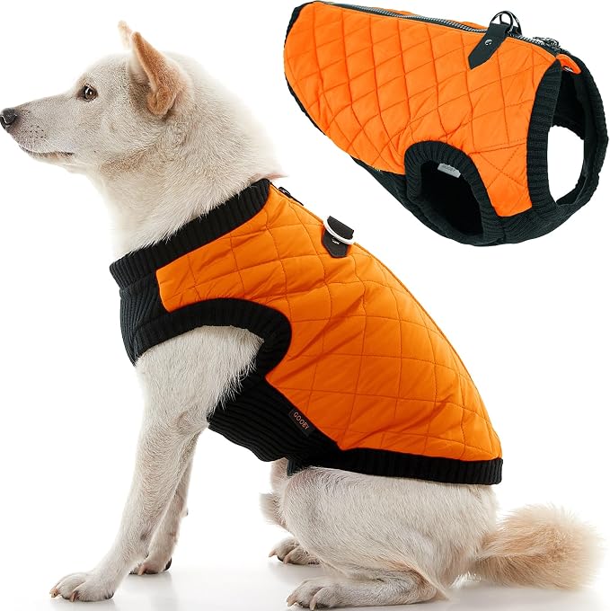 Gooby Fashion Vest Dog Jacket - Orange, Large - Warm Zip Up Bomber Vest with Dual D Ring Leash - Winter Water Resistant Small Dog Sweater