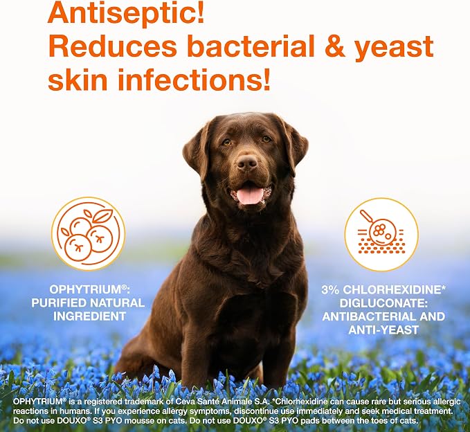 Douxo S3 PYO Chlorhexidine Shampoo For Dogs, Medicated Shampoo Antibacterial & Antiseptic, Yeast Infection Treatment for Dogs & Cats, Clinically Proven, 16.9 fl oz | Medicated Shampoo Antibacterial & Antiseptic, Yeast Infection Treatment for Dogs & Cat...