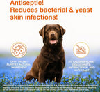 Douxo S3 PYO Medicated Dog Shampoo with 3% Chlorhexidine for Dogs – Antibacterial & Antiseptic Yeast Infection Treatment For Dogs & Cats, Clinically Proven, 6.7 fl oz | Antibacterial & Antiseptic Yeast Infection Treatment For Dogs & Cats, Clinically Pr...