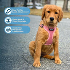 Voyager Step-in Flex Adjustable Dog Harness - Pink, Medium | 17 - 21" in Chest, Fully Adjustable, Reflective Bands, All Weather Breathable Air Mesh, Lightweight, Fast Drying
