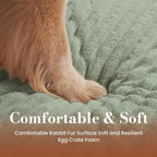 Medium Dog Bed Orthopedic Foam with Waterproof Lining | Egg crate foam for joint support. Soft plush surface. Non-slip bottom. Removable & machine washable cover. OEKO-TEX certified