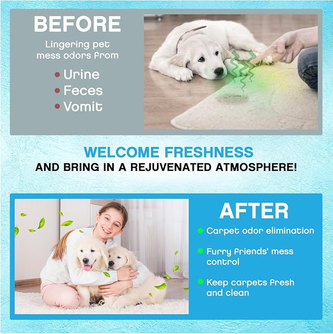 NonScents Carpet & Rug Odor Eliminator - Smell Neutalizer for Pets - 1 Pack | 14 ounce, Safe and Fragrance-free pet carpet deodorizer, For Cat & Dog, Removed Pet Urine odors, Fresh scent powder