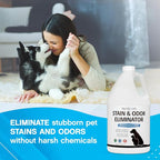 NonScents Stain & Odor Eliminator - For Dog and Cat Urine - 32 oz | Fragrance Free, For Dog and Cat, Dog pee carpet cleaner, Pet odor remover, Cat Urine Destroyer