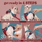 rabbitgoo Cat Harness and Leash Set, Escape Proof Vest, Red & Teal | Soft Breathable Mesh, Easy Adjustable Fit, Snap Buckles, Sturdy Clip, Reflective Strips, for Medium to Large Cats Walks, M
