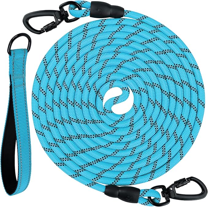 Joytale Long Dog Leash for Yard Tie Out & Recall Training, Blue, 15FT | Secure Locking Carabiner, Removable Padded Handle, Reflective Webbing for Night Safety, Ideal for Outdoor Play and Camping