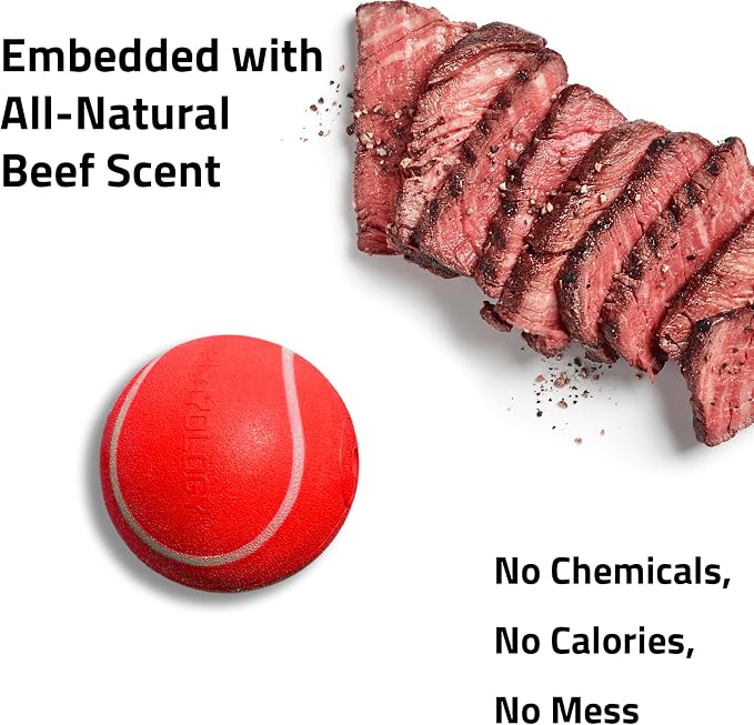 Playology Dog Toys | Squeaky Chew Ball for Dogs | Beef Scented Medium Dog Ball | Bouncy Floating Chew Toys for Fetch