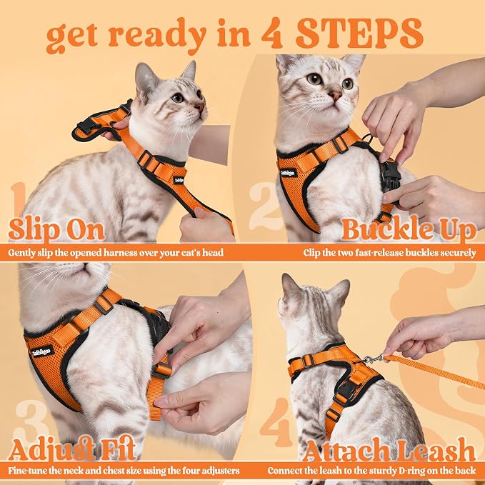 rabbitgoo Cat Harness and Leash Set, Escape Proof Vest, Orange | Soft Breathable Mesh, Easy Adjustable Fit, Snap Buckles, Sturdy Clip, Reflective Strips, for Medium to Large Cats Walks, M