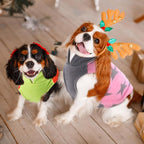 Reginary 10 Pack 2X-Large Dog Sweaters Fleece Pet Dog Clothes with Leash Ring Soft Warm Winter Puppy Plaid Shirt(Bright)