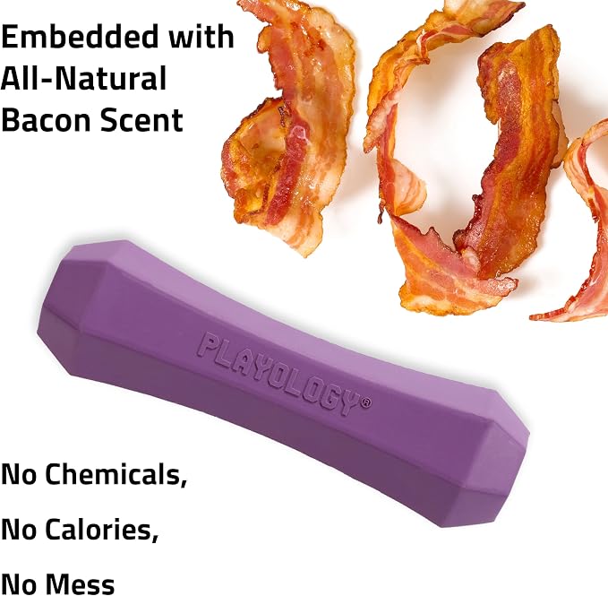 Playology Dog Toys | Squeaky Chew Stick for Large Dogs | Bacon Scented Jumbo Fetch Toy | Squeaky Dog Chew Toy