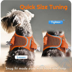 Eagloo Small Dog Harness and Leash Set, Step in Medium Small Puppy Pet Vest | Light, Soft, Breathable Air Mesh, Easy on and off with Hook & Loop, Reflective for Safe Walking, Orange, M