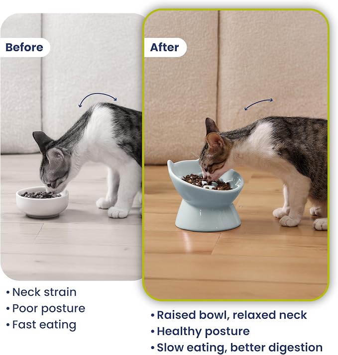 Lynx Ceramic Raised Slow Dog & Cat Elevated Food Bowl, Sky Blue | Tilted 15° Elevated Pet Food Bowl, Whisker-Friendly, Anti-Choking Dish, Dishwasher Safe, Nonslip, Food Grade Material