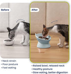 Lynx Ceramic Raised Slow Dog & Cat Elevated Food Bowl, Sky Blue | Tilted 15° Elevated Pet Food Bowl, Whisker-Friendly, Anti-Choking Dish, Dishwasher Safe, Nonslip, Food Grade Material