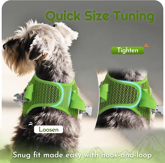 Eagloo Small Dog Harness and Leash Set, Step in Extra Small Puppy Pet Vest | Light, Soft, Breathable Air Mesh, Easy on and off with Hook & Loop, Reflective for Safe Walking, Green, XXS