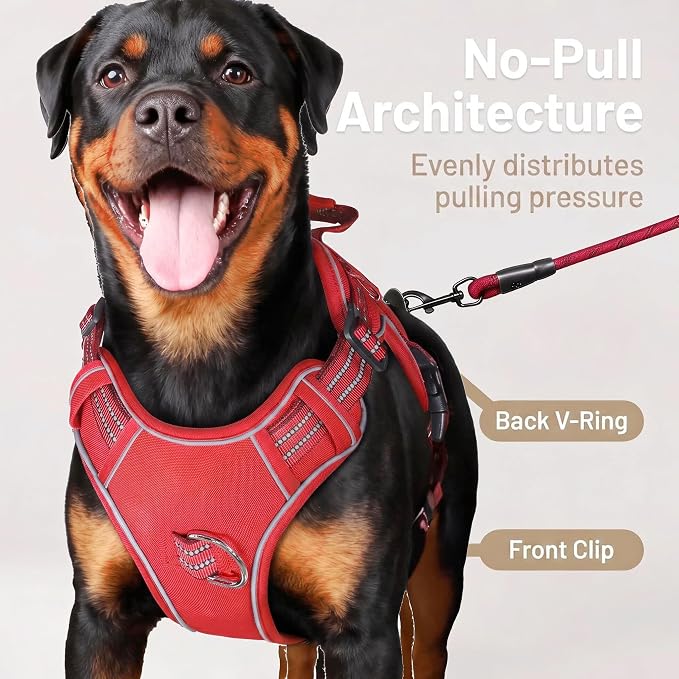 Service Dog Tactical Vest Harness and Leash Set Large Sized Dog Emotional Support- Tactical Dog Harness Training Collar with Name (Red, S)