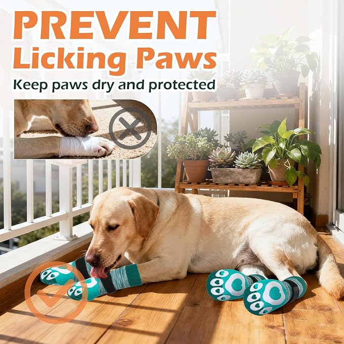EXPAWLORER Dog Socks to Prevent Licking Paws with Grippers for Hardwood Floors Anti Slip,Glow-in-the-Dark Dog Summer Shoes Booties Boots & Paw Protectors for Small Medium Large Senior Dogs Green XL