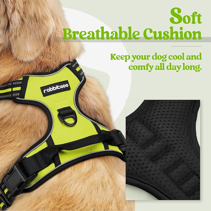 rabbitgoo Dog Harness, No Pull for Small Dogs with 2 Leash Clips, Pet Vest | No Choke with Handle, Adjustable Soft Padded, Reflective, Easy Control for Walking, Wild Lime, Small