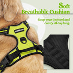 rabbitgoo Dog Harness, No Pull for Small Dogs with 2 Leash Clips, Pet Vest | No Choke with Handle, Adjustable Soft Padded, Reflective, Easy Control for Walking, Wild Lime, Small