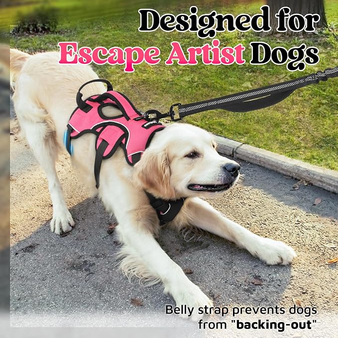 rabbitgoo Escape Proof Dog Harness for Large, No Pull with Lift Handle | No Escape, Full Soft Padded, Reflective Adjustable Vest, Leash Clip for Walking Hiking Training, Peach Pink, Large