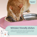 NomNom - Spill Proof Elevated Cat Bowls - Stainless Steel - Pink